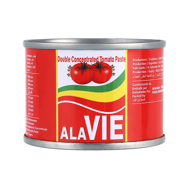 60g Canned (Easy open/ Hard open) Tomato Paste